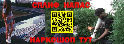 ПСИЛОЦИБИНОВЫЕ ГРИБЫ Берёзовский