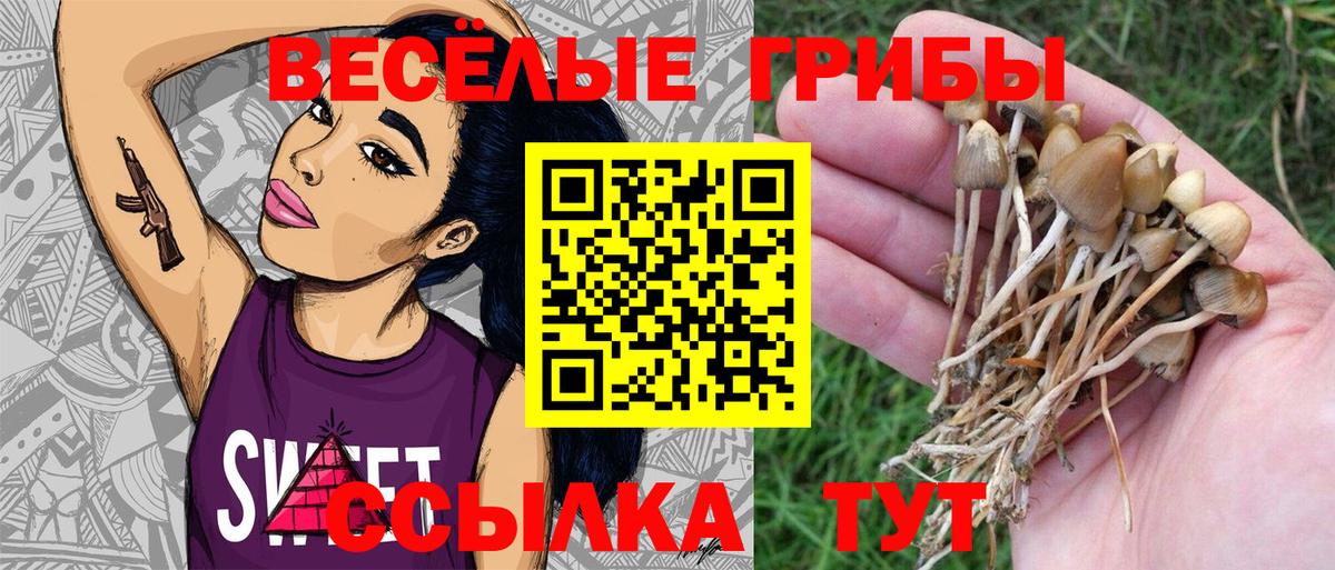 Галлюциногенные грибы MAGIC MUSHROOMS Канаш