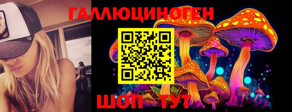Канаш  Галлюциногенные грибы мухоморы  Псилоцибиновые грибы Psilocybine cubensis  Вход с VPN 